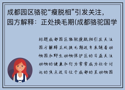 成都园区骆驼“瘦脱相”引发关注，园方解释：正处换毛期(成都骆驼国学老师简介)