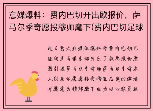 意媒爆料：费内巴切开出欧报价，萨马尔季奇愿投穆帅麾下(费内巴切足球俱乐部是哪个国家的)