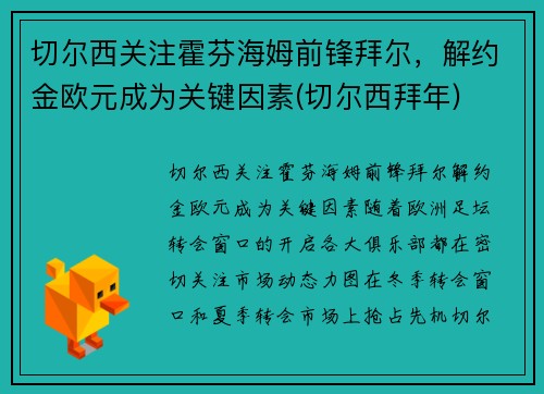 切尔西关注霍芬海姆前锋拜尔，解约金欧元成为关键因素(切尔西拜年)